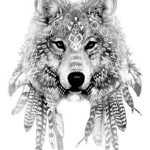 Meet your Posher, Lisette